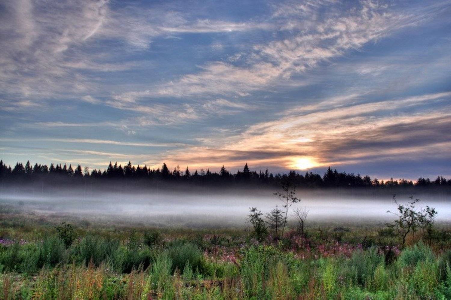 туман, утро, Андрей