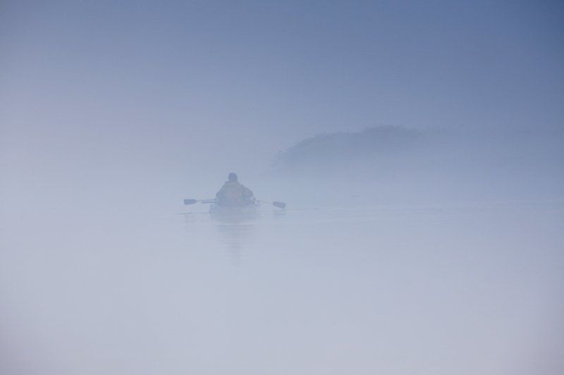 В тумане я обрел покой. фото превью