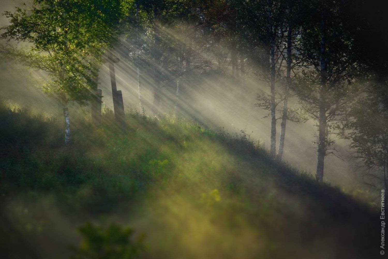 мкад, свет, солнце, утро, туман, sashayo