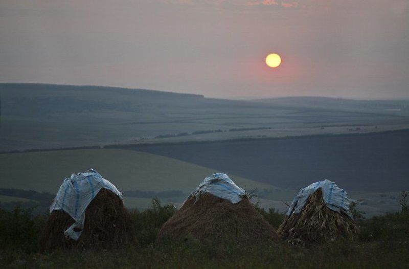 сено, стоги, закат Три стога. фото превью