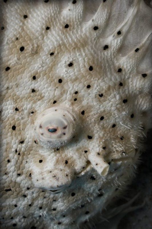 Угол зрения фото превью