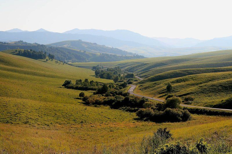 алтай Дорога в даль. фото превью