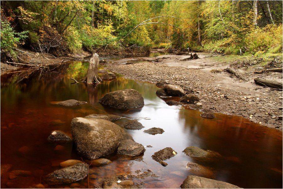 осень, Илья Бармин