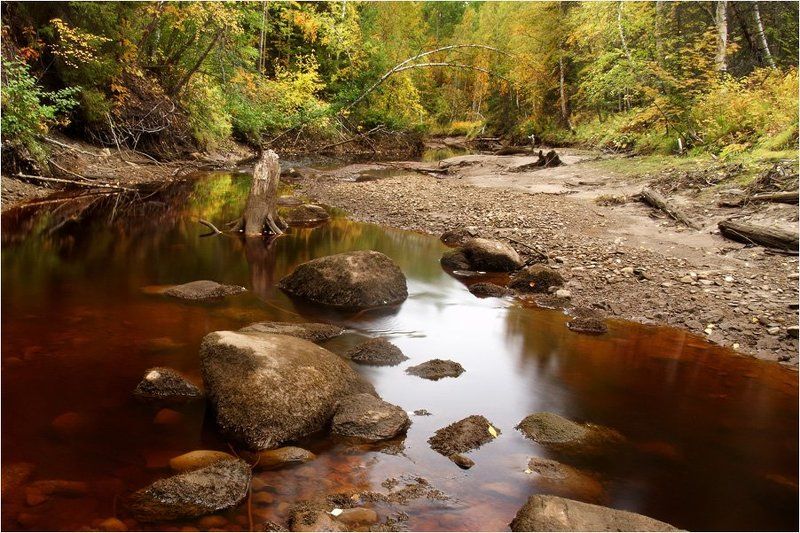 осень К осени фото превью