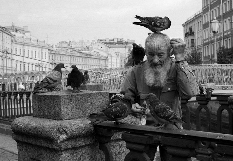 Дед Мазай и... фото превью