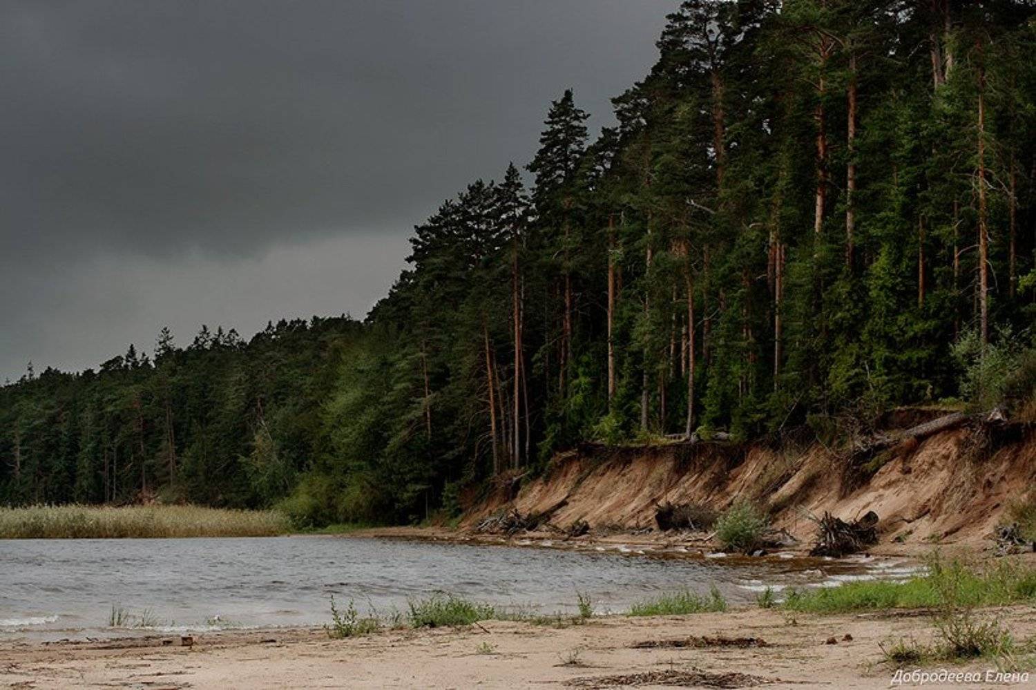 , Добродеева Елена (Алёнка)