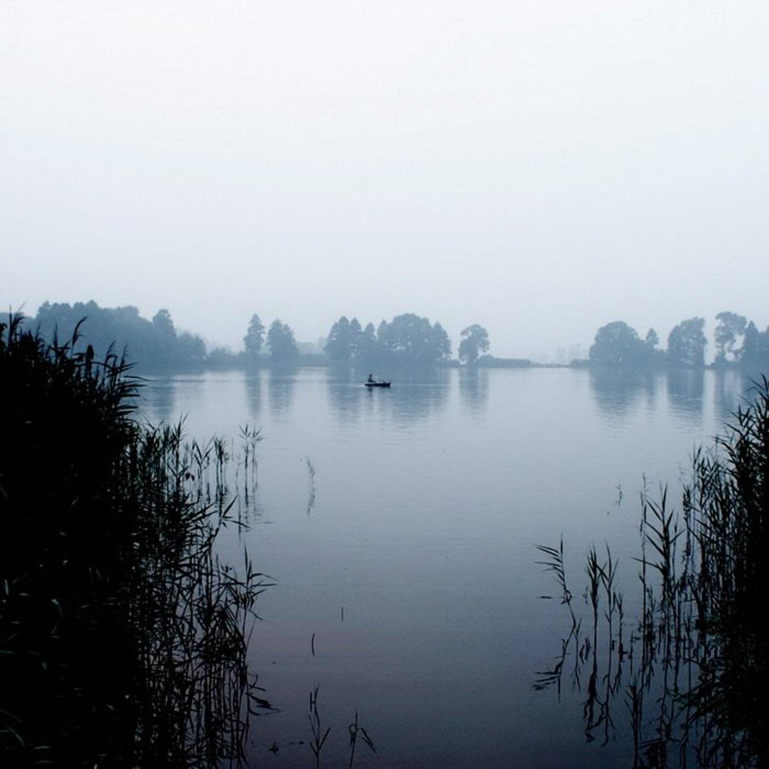 , Светлана Ястребова