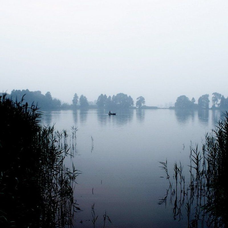 Silence фото превью