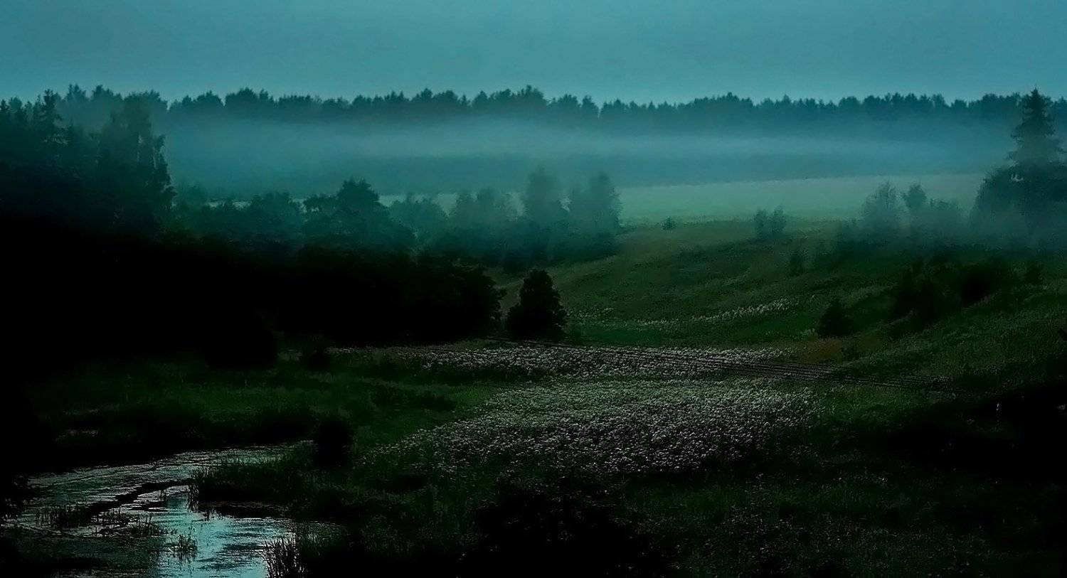 , Василий Черкасский