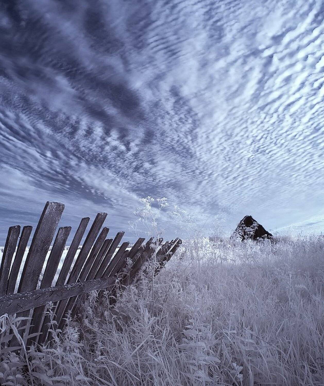 , Максим Евдокимов