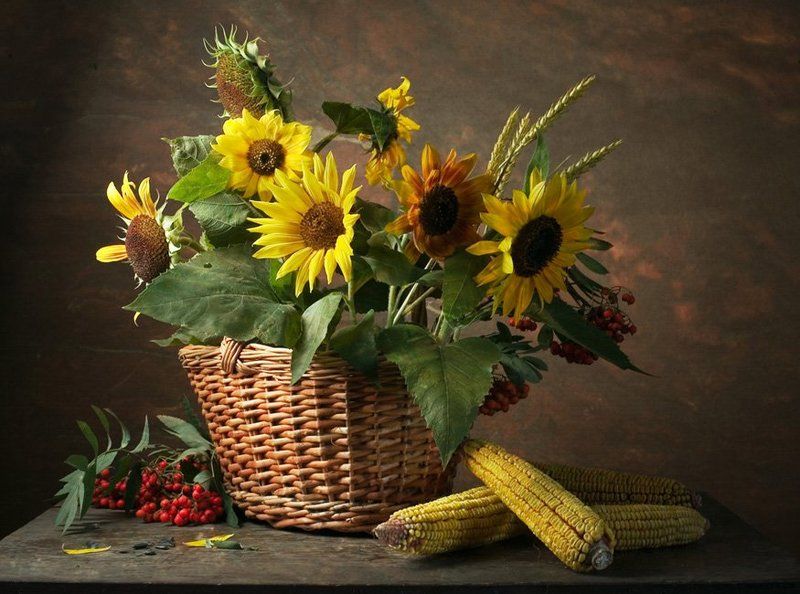 цветы,подсолнухи,ягоды,рябина,лето Любимые подсолнушки... фото превью