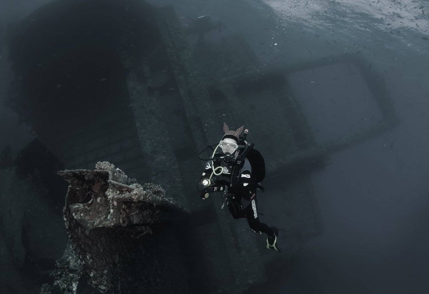 красное море, рэк, джаннис ди, оксана музыка, Андрей Макеев