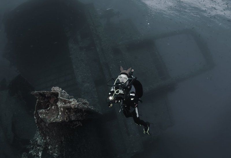 красное море, рэк, джаннис ди, оксана музыка Рэк с Музыкой - Джаннис Ди фото превью