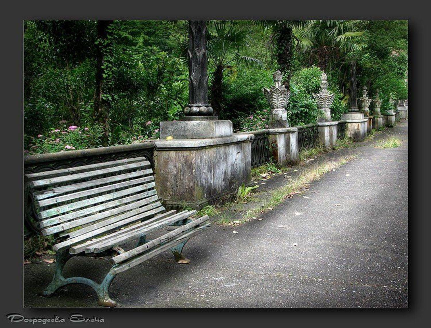 , Добродеева Елена (Алёнка)