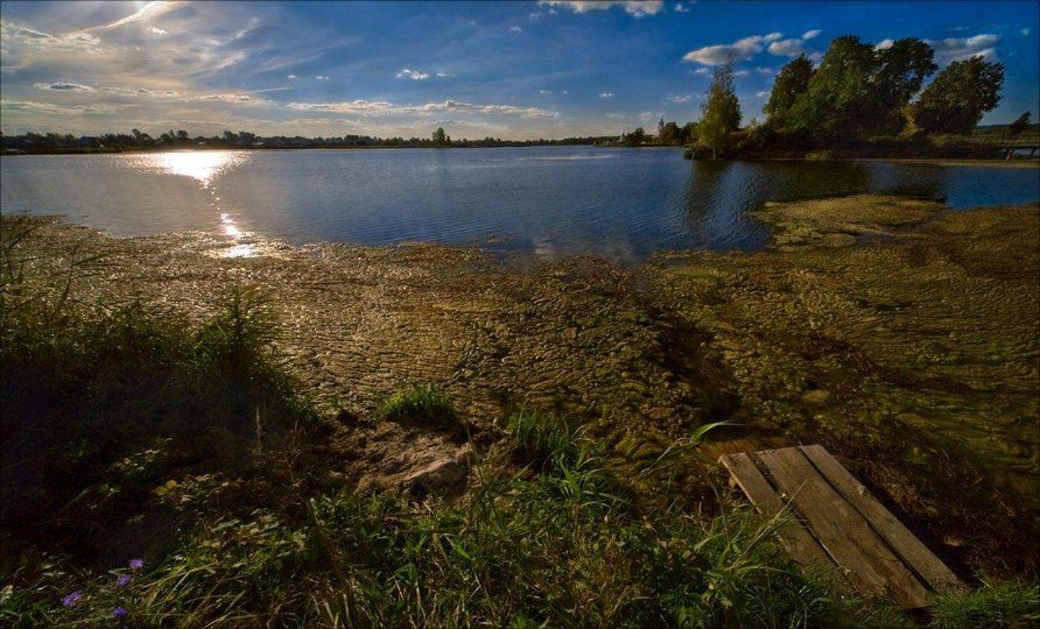 , Василий Водин