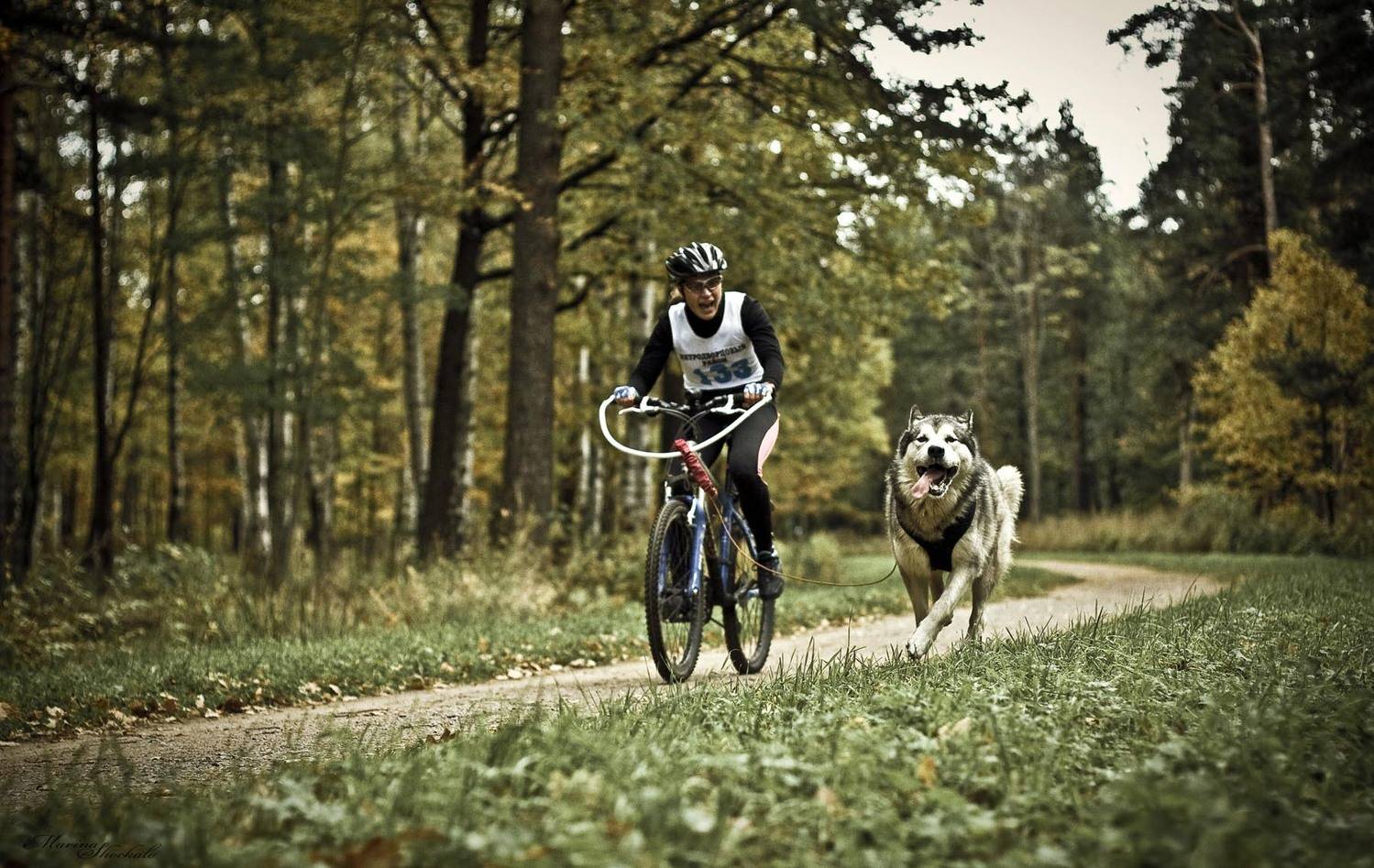 , Марина Шокало