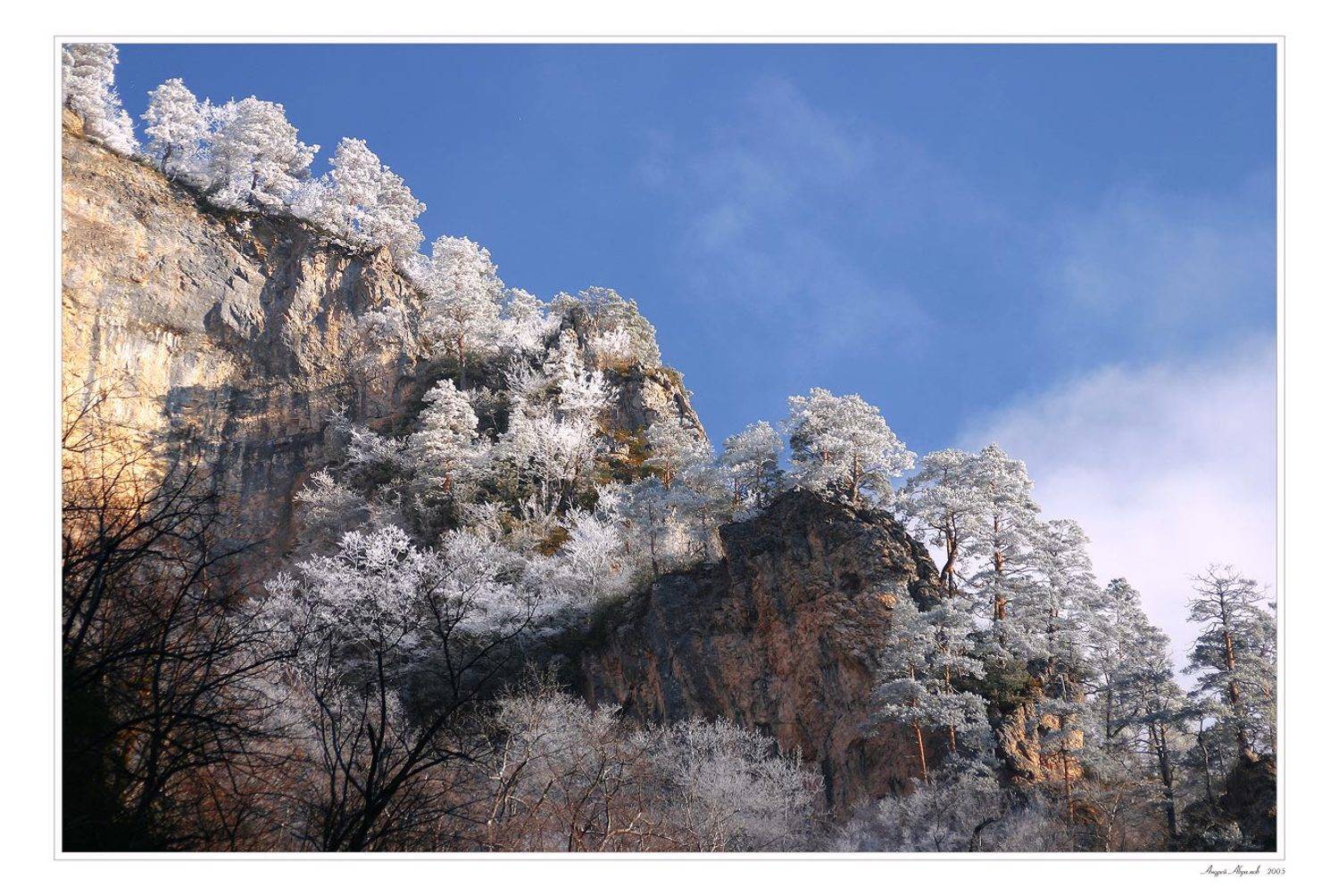 иней,деревья,гуамское ущелье,мороз,утро, Чебурашка