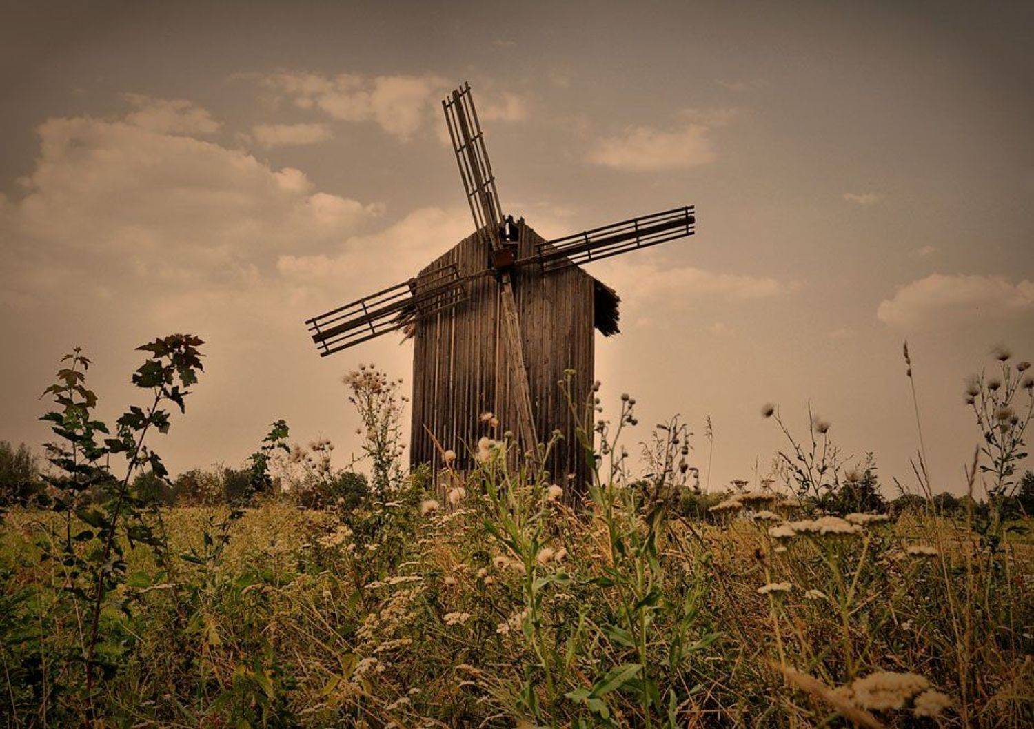 , Александр Миронов