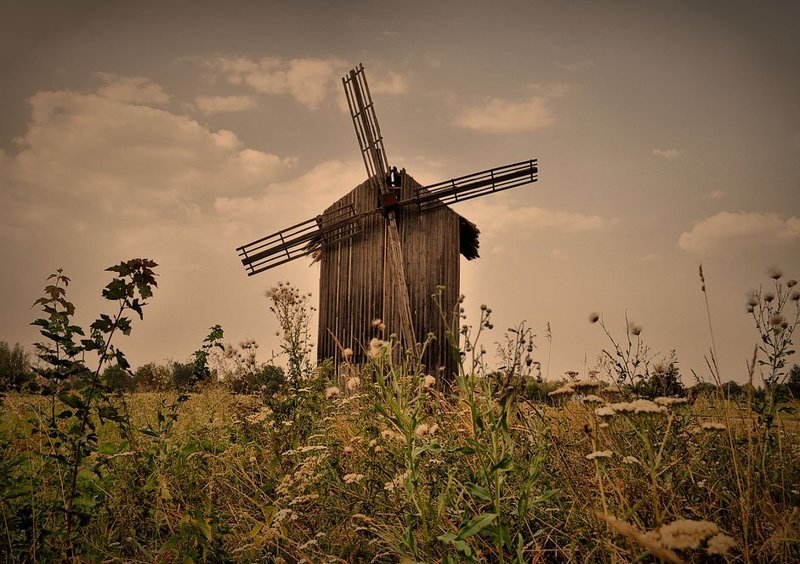 ...близ Дыканьки... фото превью