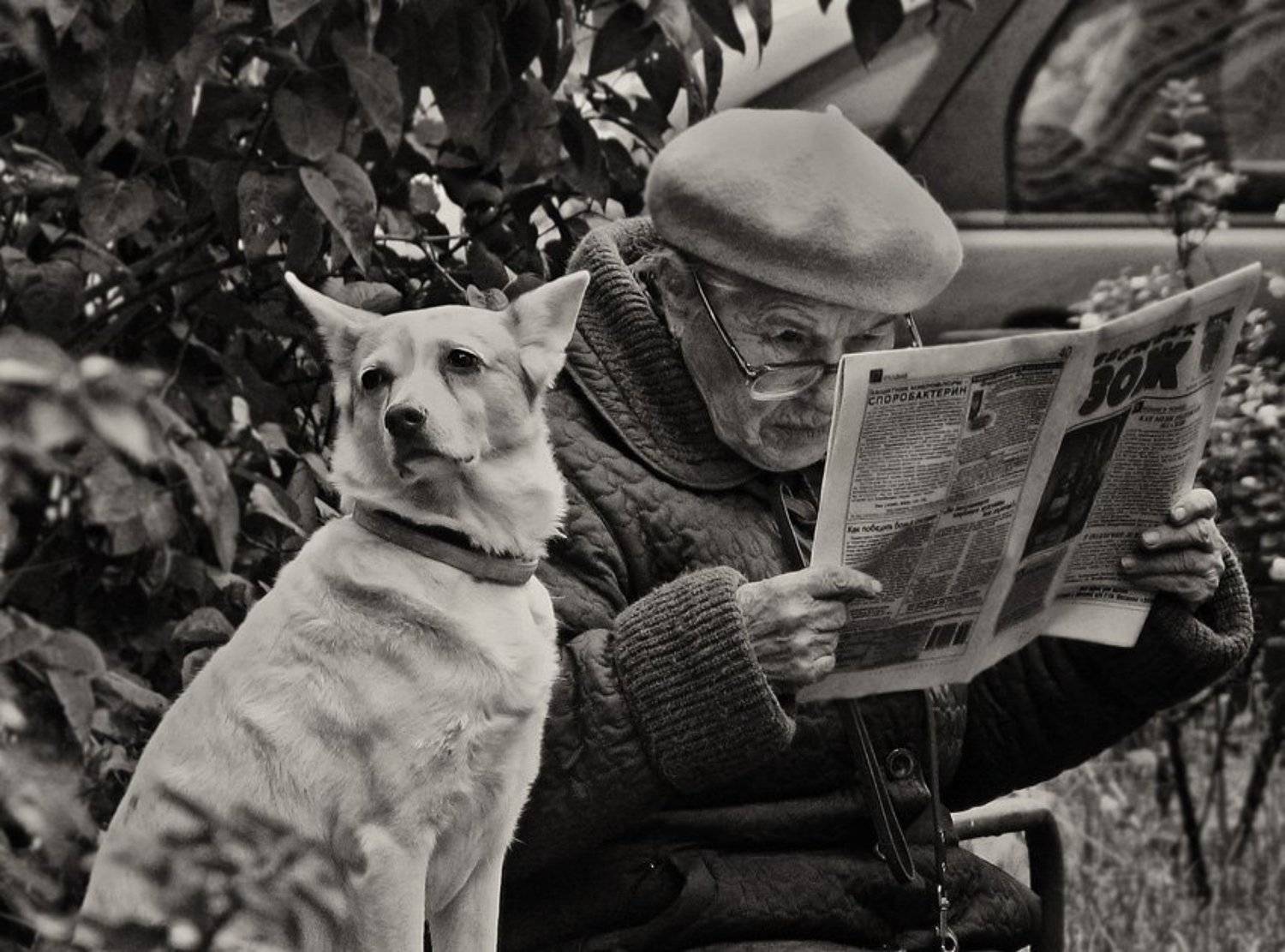 жизнь, двое, старушка, собака, друзья, ЦокоТушка