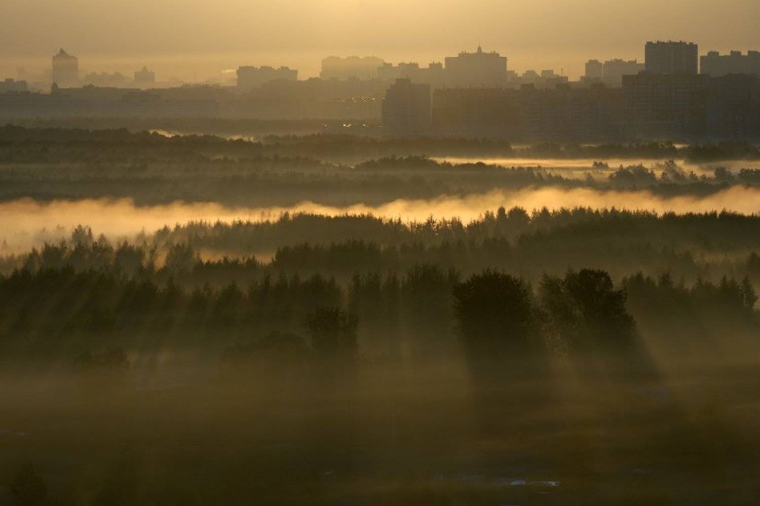 morning, Poletaev Ilya