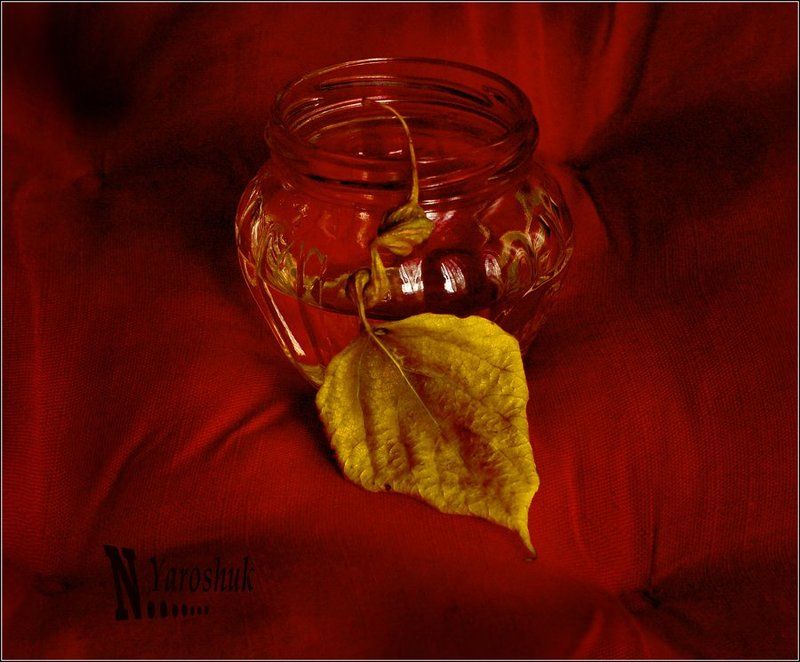 осень, листья Осень фото превью