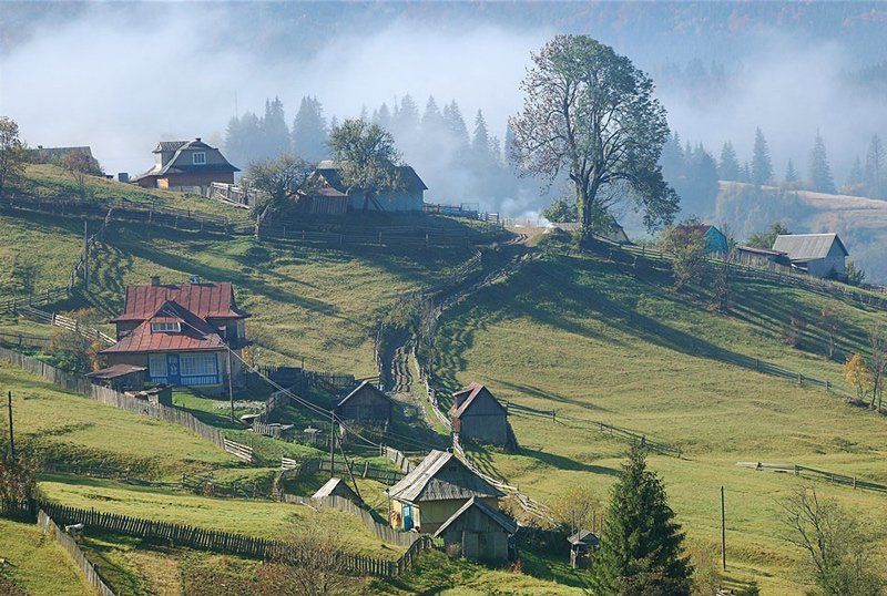 \\  фото превью