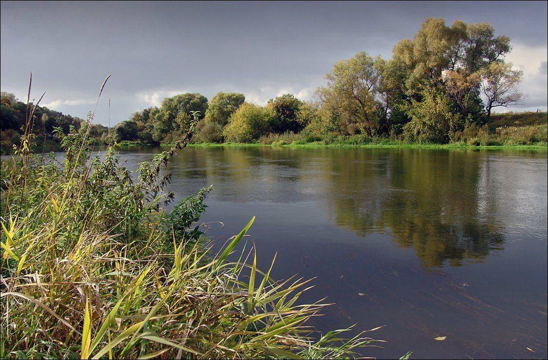 река, москва, звенигород, Тарасов Алексей