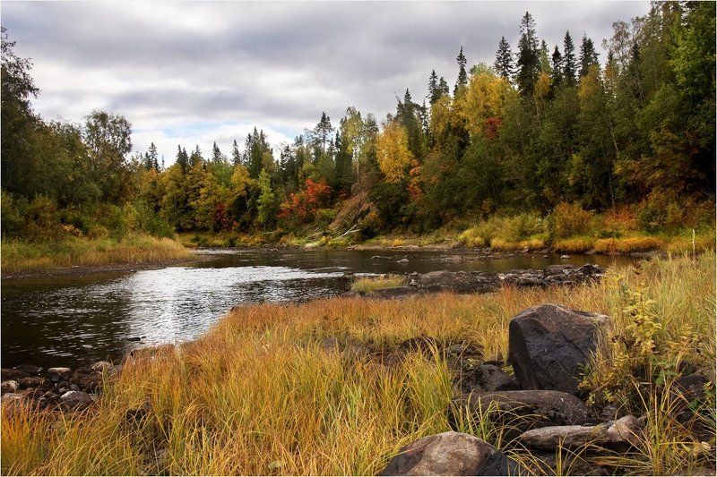 осень Осень фото превью