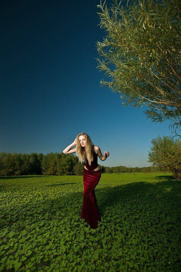 , Виталий Тимкив