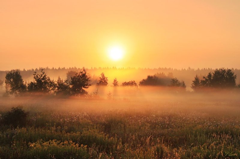 А я еду, а я еду за туманом... фото превью