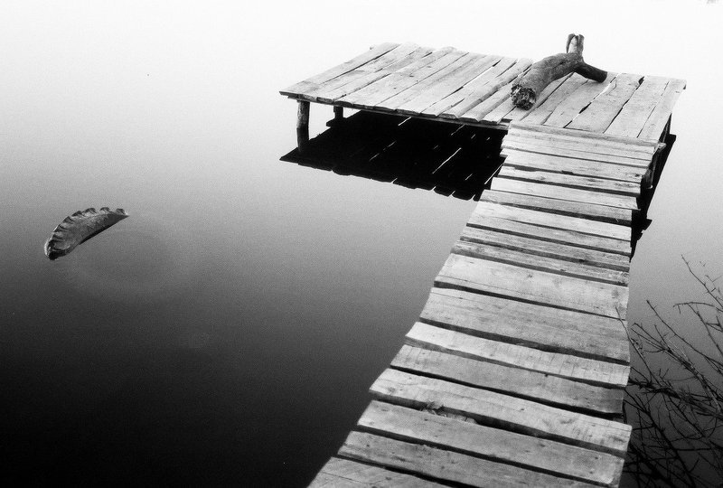 Утро... фото превью