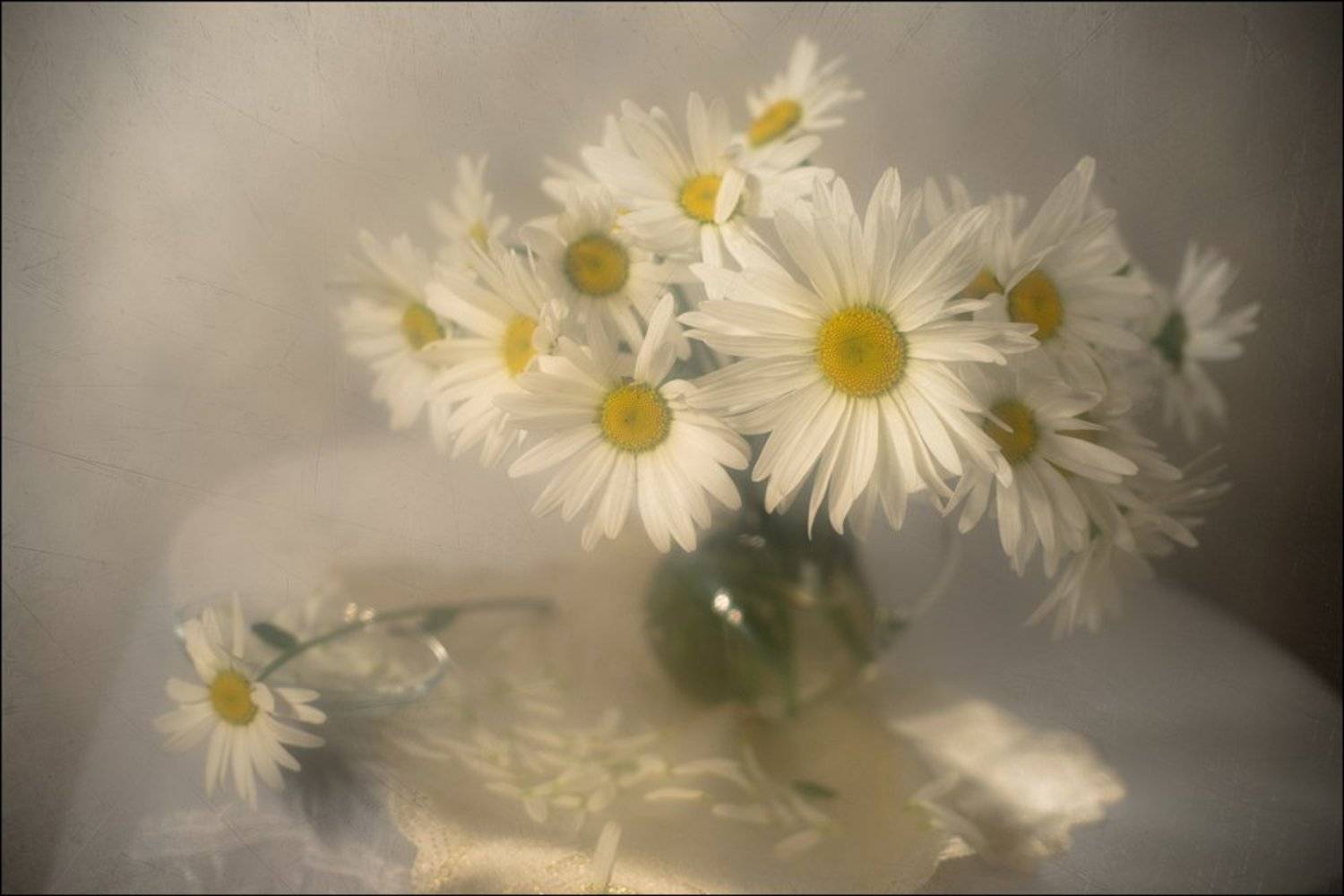 , Екатерина Литау