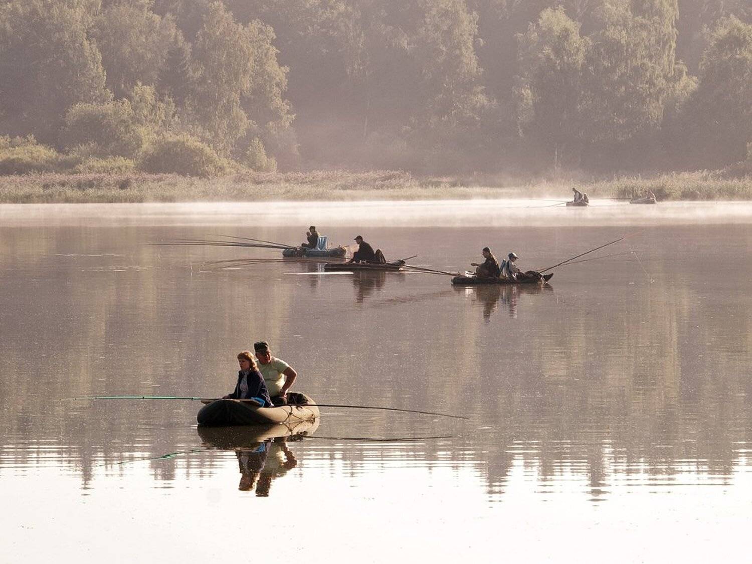 , Максим Евдокимов