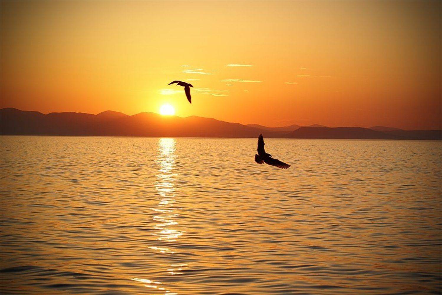 , олег сопов