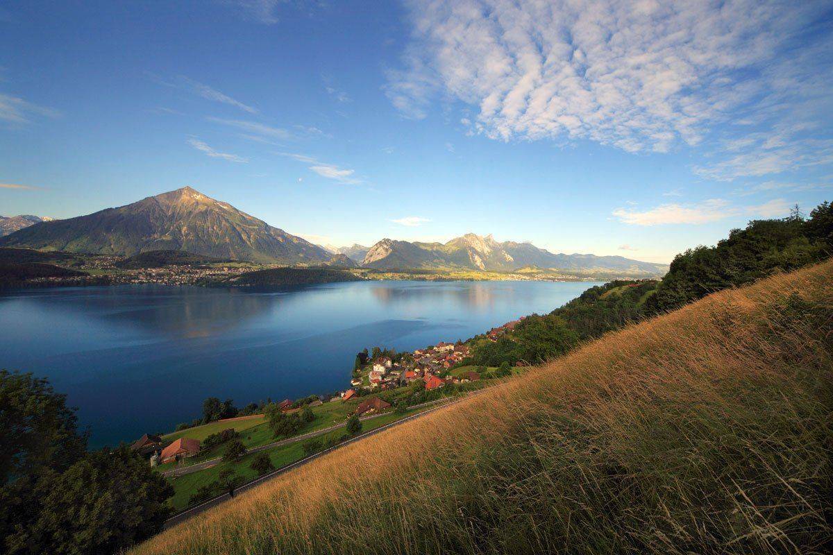 швейцария, Матвеев Николай