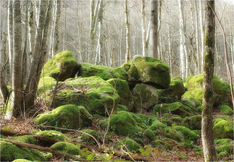 Память Земли фото превью
