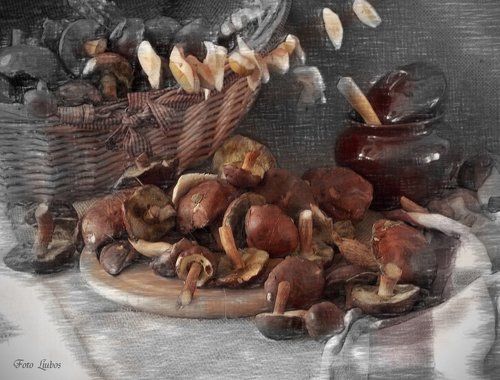 ..вот и грибы пошли...