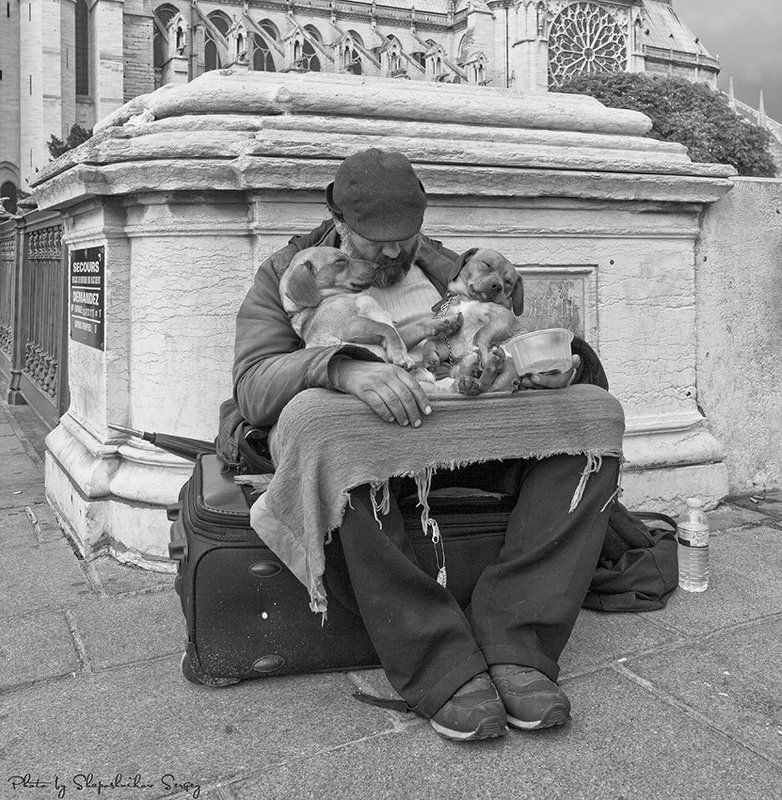 трое у Нотр-Дам де Пари фото превью