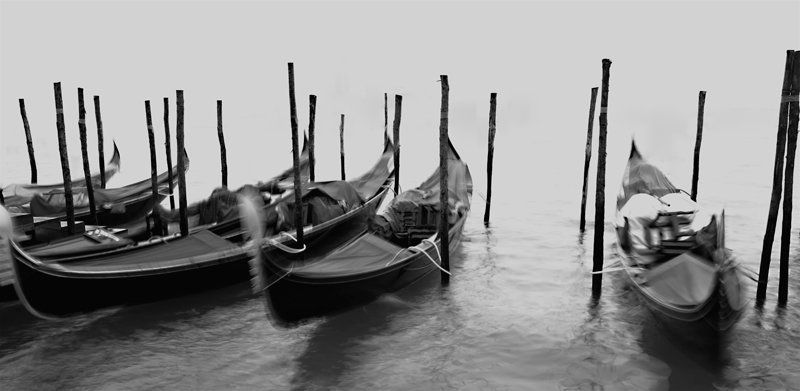 venize B&W фото превью