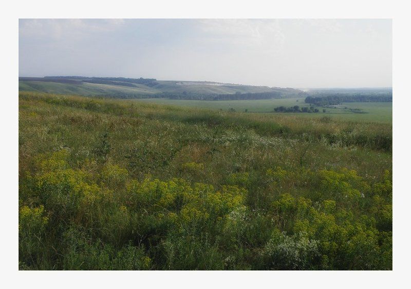 * * * фото превью