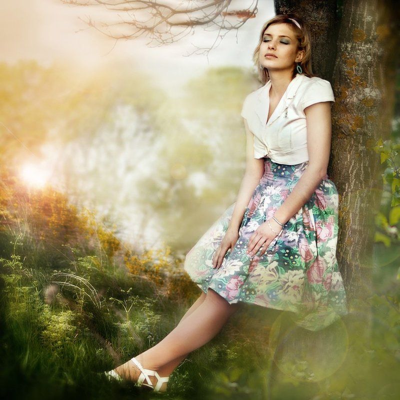 Куда приводят мечты фото превью