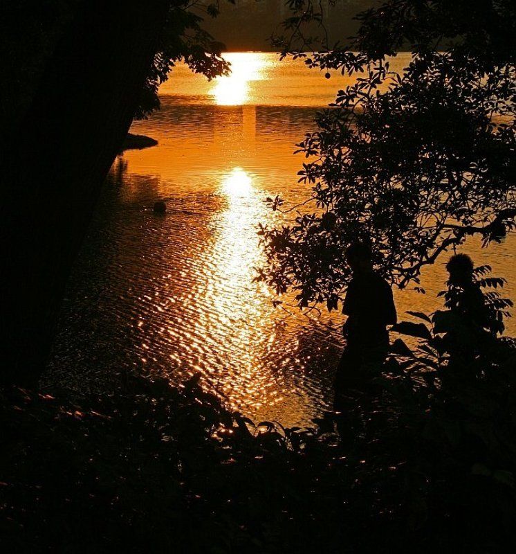 Вечер фото превью