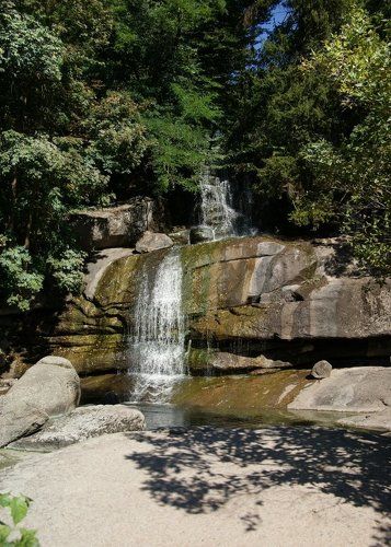 Лесной ручей