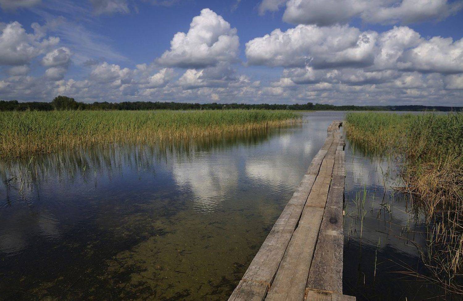 озеро, струсто, белорусь, браслав, Евгений Иванюшенко