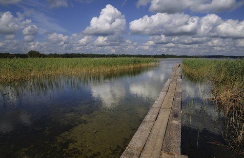 Гляжу в озера синие...