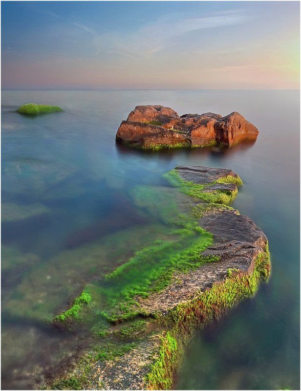 рассвет, море, камень, водоросли *** фото превью