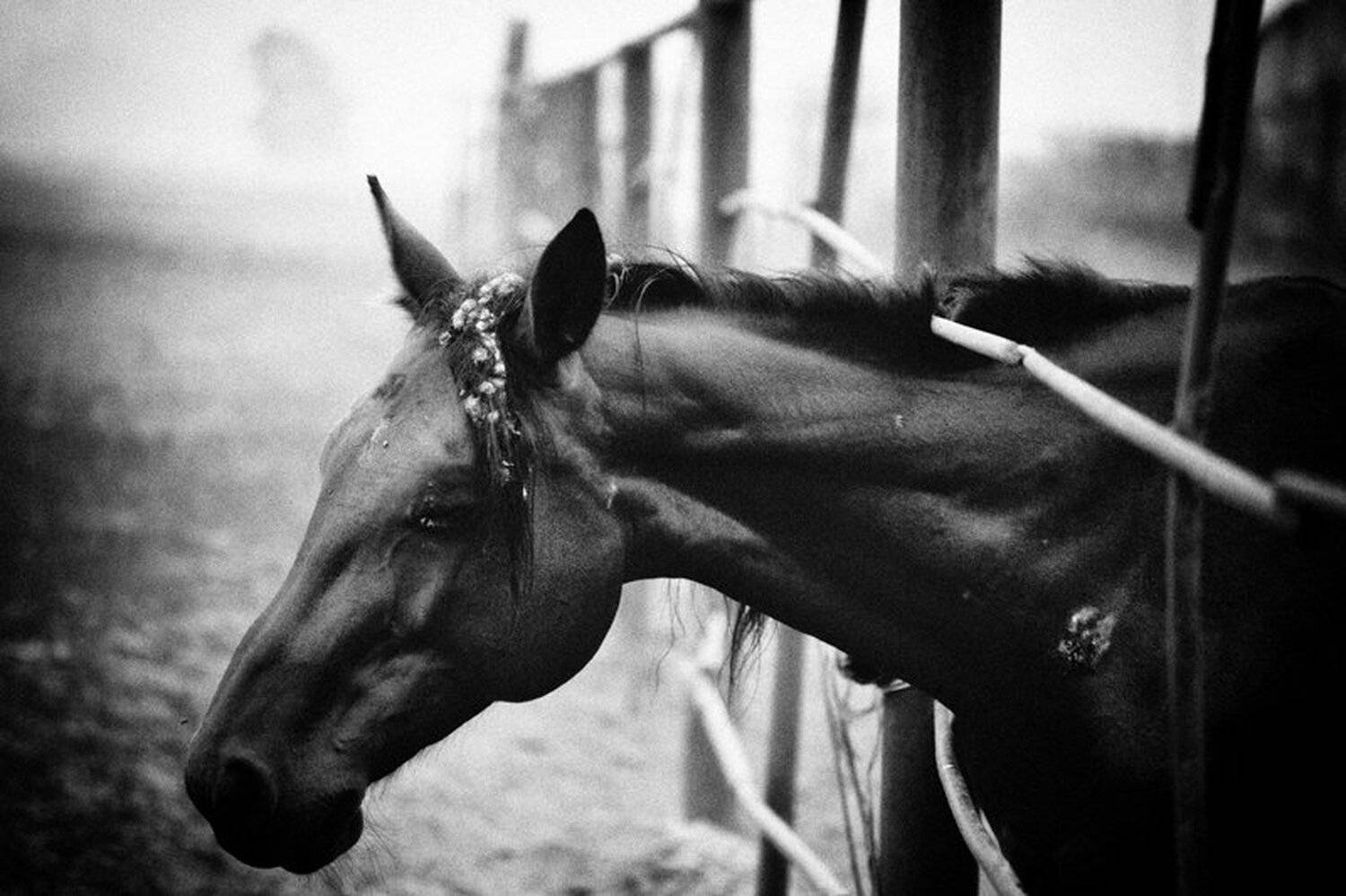 , Пономарёв Кирилл