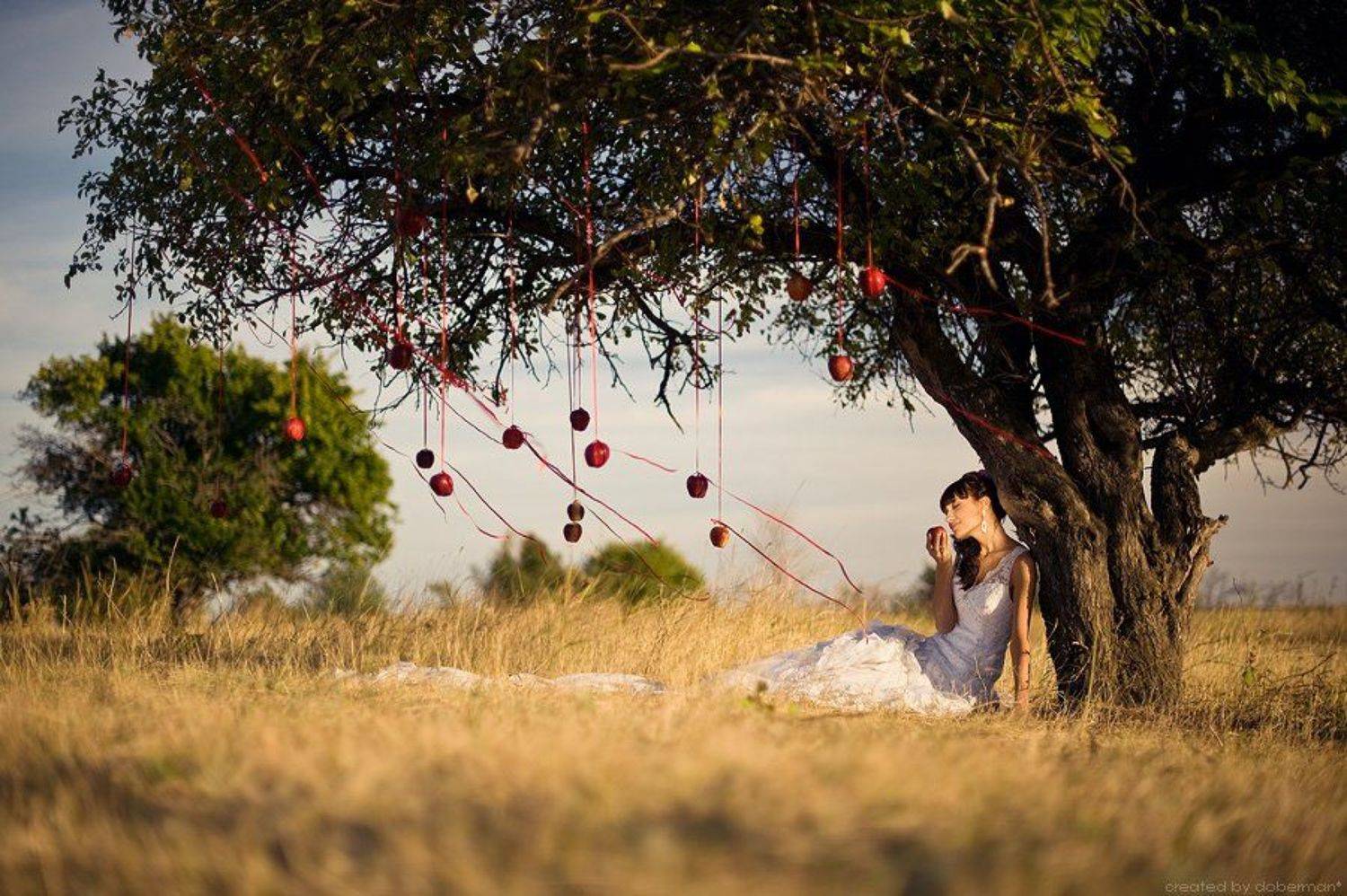 , Денис Богомолов