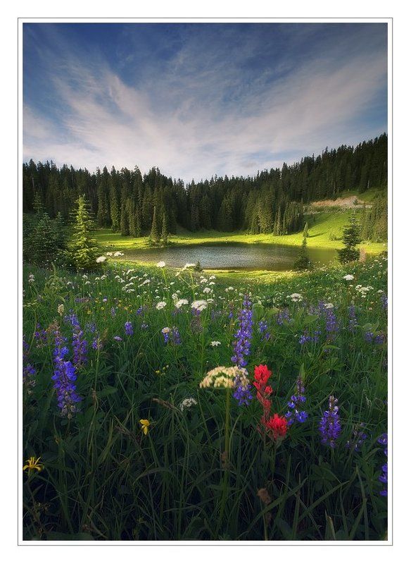 Flowerland